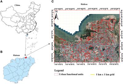 Distribution patterns and drivers of urban green space and plant diversity in Haikou, China